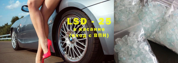 ECSTASY Алзамай