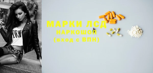 ECSTASY Алзамай