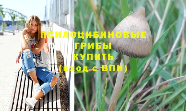 прущие грибы Алексеевка