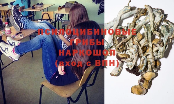 прущие грибы Горняк